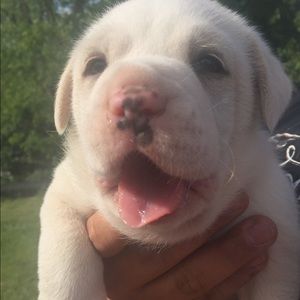 Meet your Posher, Gail